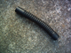 a231956-Rony-flex radiator hose.jpg